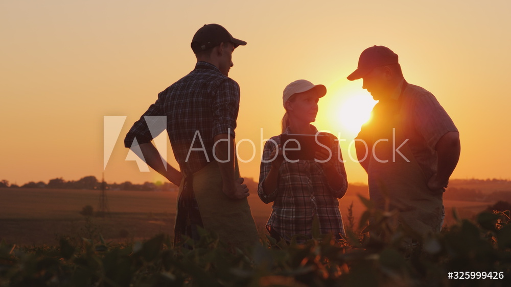 AdobeStock_325999426_Preview