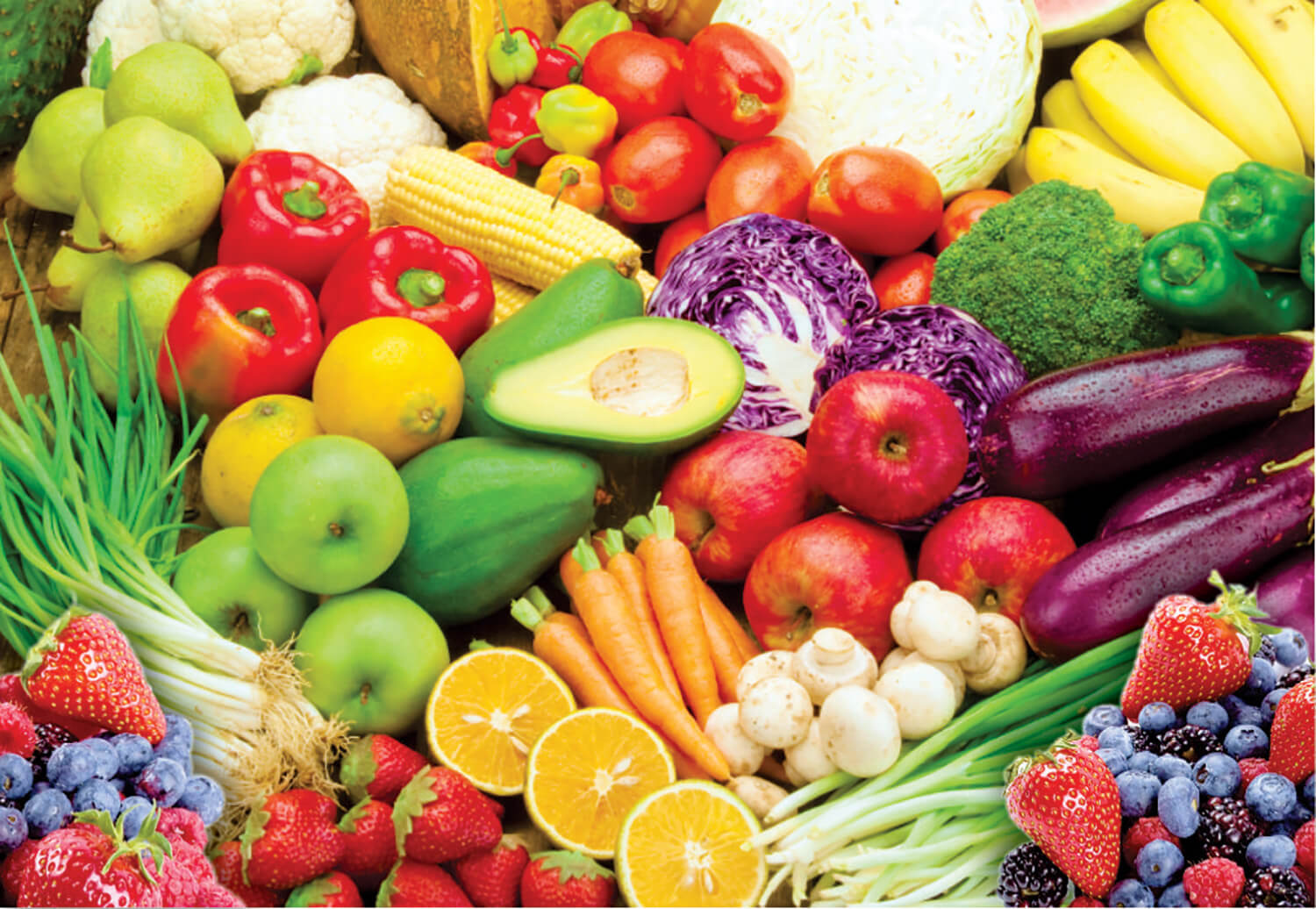 PROMOVEMOS LA OBTENCION DE FRUTOS